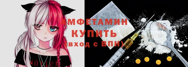 индика Инта