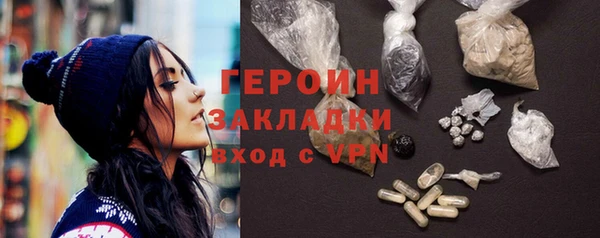 индика Инта