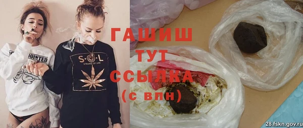 индика Инта
