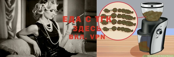 индика Инта