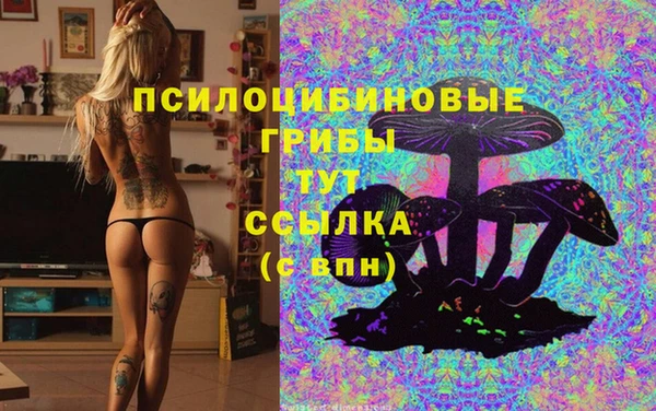 индика Инта