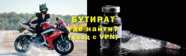 индика Инта