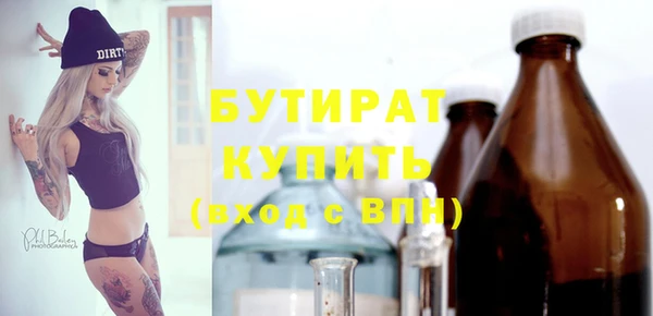 индика Инта