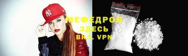 индика Инта