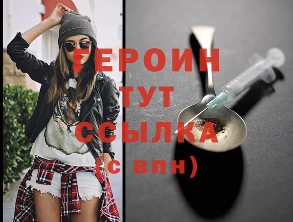 индика Инта