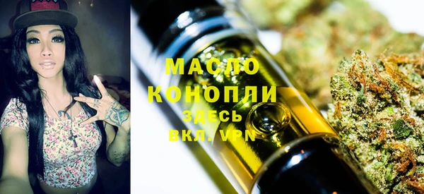 индика Инта