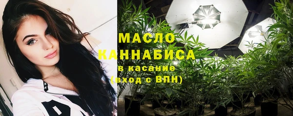 индика Инта