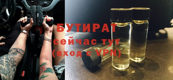 индика Инта