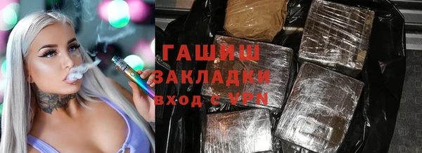 индика Инта