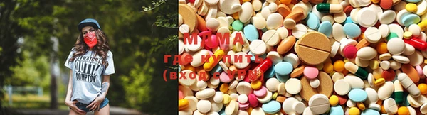 индика Инта