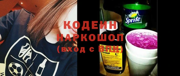 индика Инта